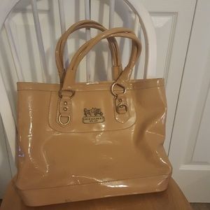 Large Tote Bag